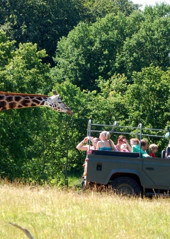 Bag kuliserne i Ree Park Safari 1 efterår 2025 - Klik for at tilmelde dig