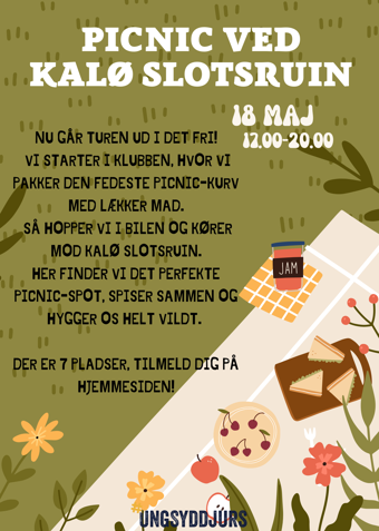 Picnic ved Kalø Slotsruin - Klik for at tilmelde dig